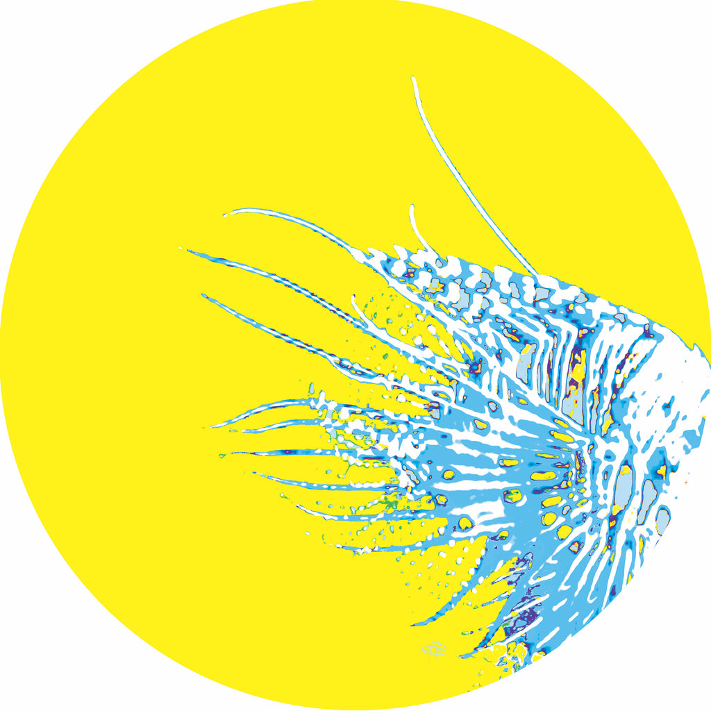Fish Yellow Hardboard Placemat. Set of 2 - bettibdesign