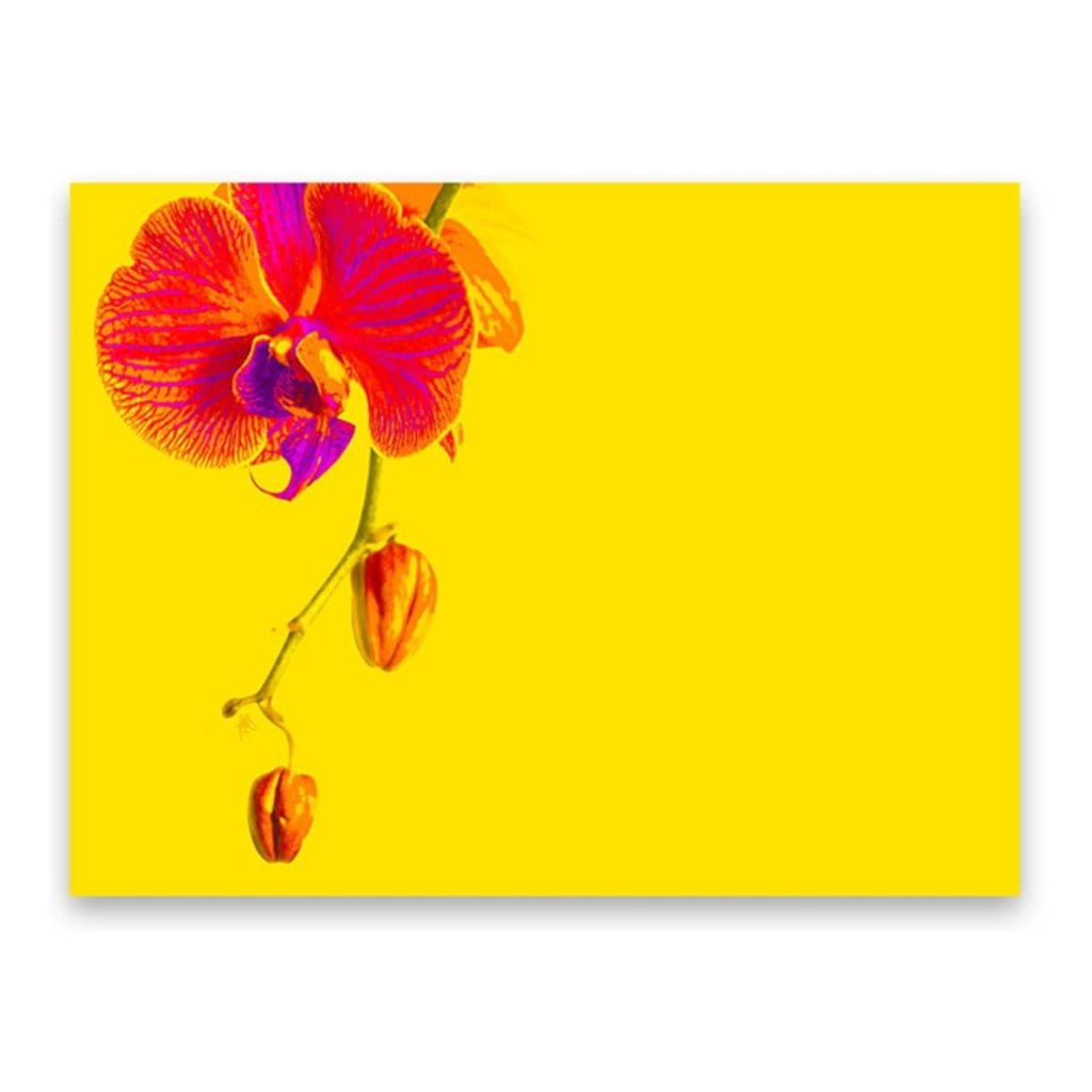 Orchid Hardboard Placemat. Set of 2 - bettibdesign
